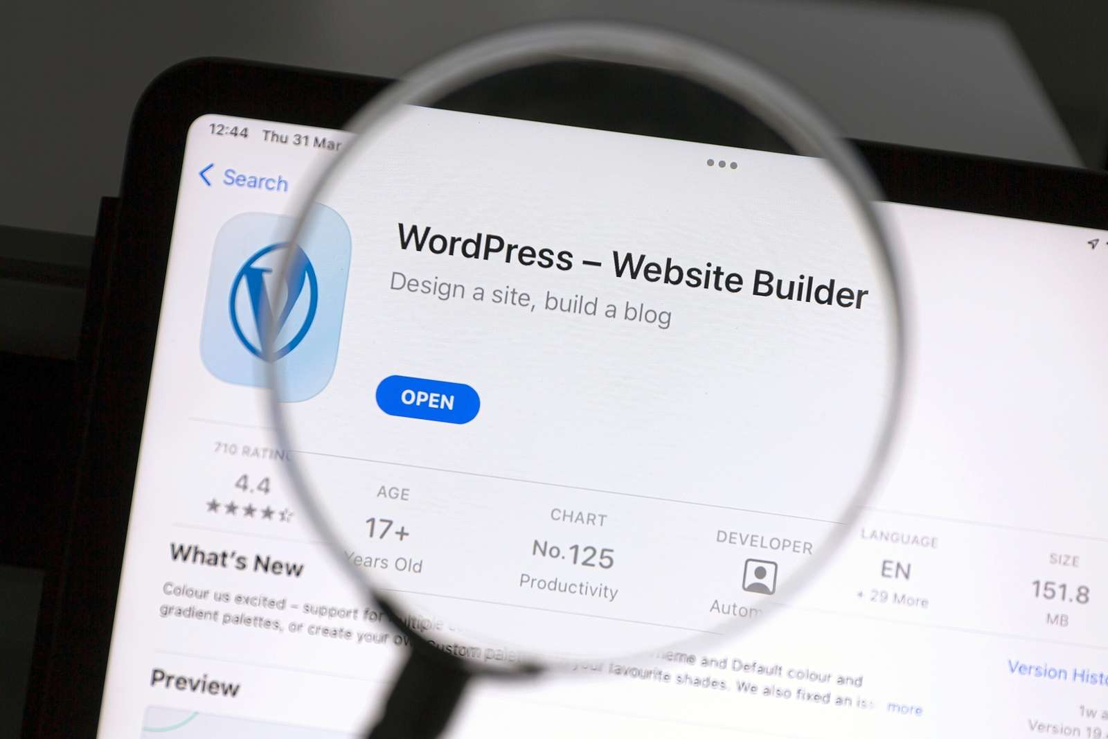 Ventajas y desventajas de Wordpress